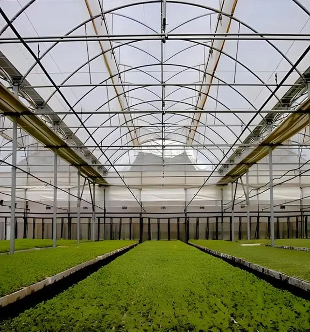 온실 유리 블로그 및 다운로드