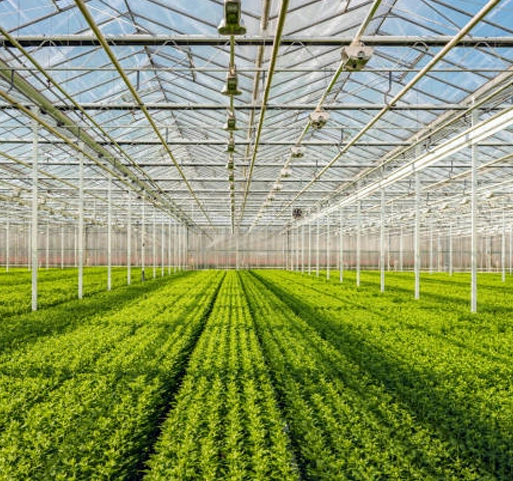 온실 유리 패널