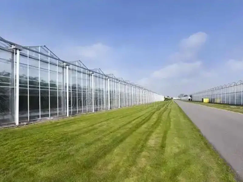 지능형 유리 온실의 장점 분석